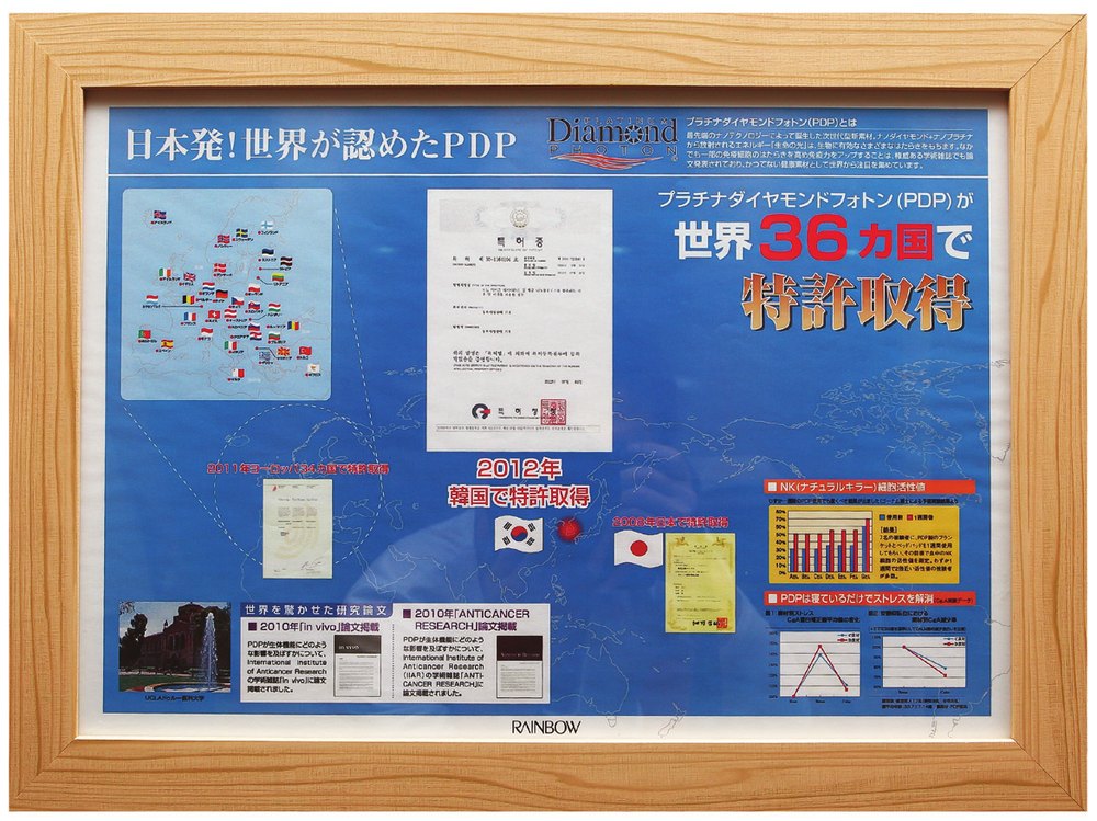 PDP 38개국 국제특허